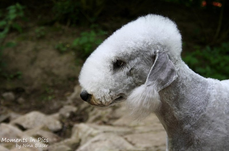 2010-05-29 Arc-en-ciel Alanna (5).jpg - Arc-en-ciel Alanna 2010-05-29